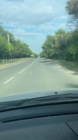 The video shows a view from inside a vehicle driving down a paved road. The road is lined with trees on both sides, and there are streetlights visible along the left side. The sky is partly cloudy. There are pedestrian crossing markings on the road. The dash of the car is visible in the foreground.