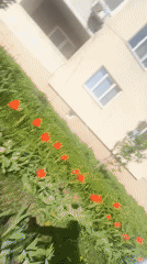 Woman takes sunny day selfie in Saratov, Russia
