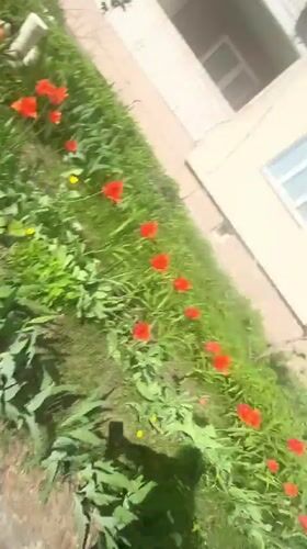 Woman takes sunny day selfie in Saratov, Russia
