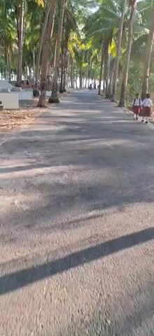 The video shows a paved road lined with palm trees on both sides. Sunlight casts shadows on the road. In the distance, several people are visible, some riding what appear to be motorbikes. Two individuals in school uniforms are walking on the right side of the road. The scene suggests an outdoor environment, possibly in a tropical or subtropical region. The camera appears to be mounted on a moving vehicle, likely a motorbike, given the slight motion blur and the perspective.