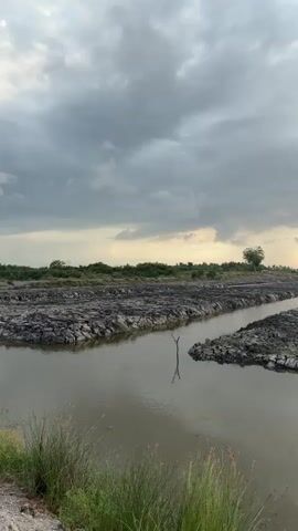 A vertical video shows a body of water with dark, muddy banks on either side. The water appears to be a ditch or canal, with a single dead branch sticking out of it in the foreground. The banks are rough and uneven, covered in dark soil and small rocks. In the background, there is a flat landscape with sparse vegetation and a single tree. The sky is overcast with dramatic, dark clouds, but shafts of sunlight break through near the horizon, suggesting either dawn or dusk. The overall impression is of a rural, perhaps agricultural, landscape under a moody sky.