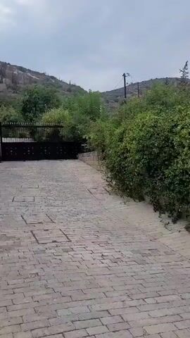 The video shows a walkway paved with light-colored bricks. The walkway curves to the right and leads towards a lush green hedge that forms an archway. Beyond the archway, more greenery and a few orange-flowering bushes are visible. The sky is overcast.