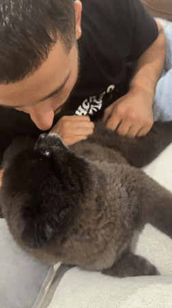 Man shares quiet morning moments with small dog in Thailand