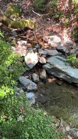A natural stream flows through a rocky, wooded area. The water is clear and shallow, cascading over smooth stones. Lush green foliage surrounds the stream, with sunlight filtering through the trees, casting dappled shadows on the water. A large fallen log lies across the stream in the upper left of the frame, covered in moss. The scene is peaceful and serene, evoking a sense of tranquility.