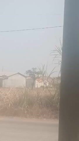 A hazy, outdoor scene shows a dirt road in the foreground, bordered by dry grass and tall reeds. In the background, several low-lying buildings with light-colored walls are visible, along with some trees. A dark, vertical pole or post is positioned on the right side of the frame, partially obscuring the view of the buildings and vegetation. The sky is overcast or filled with dust, creating a diffused light.