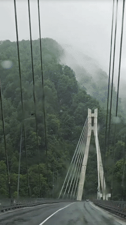 Vehicle crosses cable-stayed bridge in Kepsha, Russia