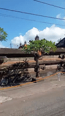 Morning drive through Bali's temples, streets, and ceremonial life
