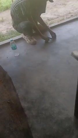 A person wearing a striped shirt, dark pants, a baseball cap, and light-colored clogs is crouching on a concrete surface. They are holding a small object in their right hand and appear to be interacting with something on the ground. To the left of the person, a partially visible plastic water bottle is on the ground. The environment appears to be outdoors, with grass and dirt visible in the background. The lighting suggests it is daytime.