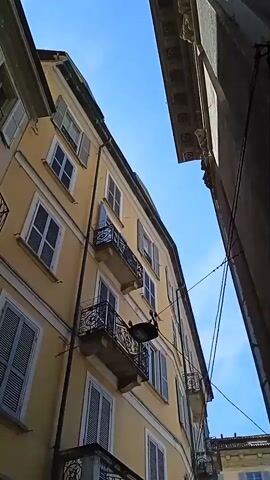 The video pans upwards along the exterior of buildings in a narrow urban setting. The architecture features apartment buildings with multiple stories, balconies with ornate railings, and numerous windows, many of which are adorned with closed or partially open shutters. The buildings are painted in muted colors, primarily yellow and a pale pinkish-beige. The sky is visible above, appearing bright and clear, suggesting daylight. There are no visible people or significant actions taking place. The focus is on the static architectural details of the buildings and the overall urban environment.