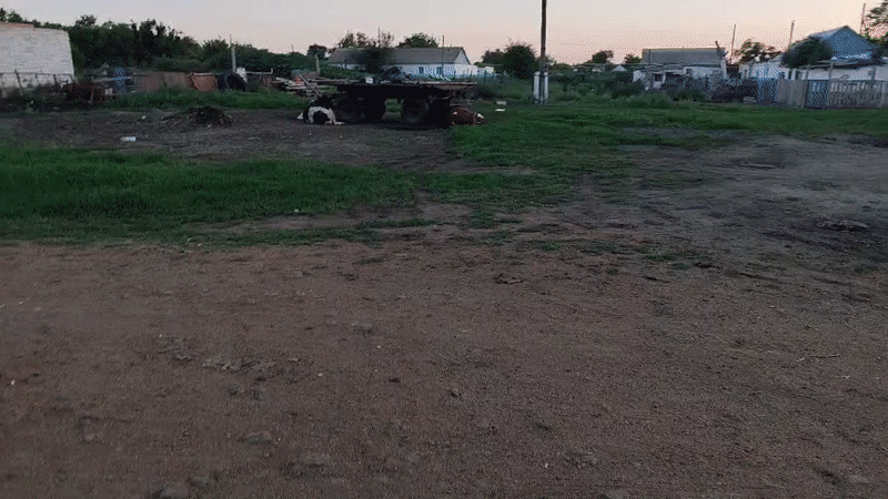 Backyard fun and dancing in rural Kazakhstan
