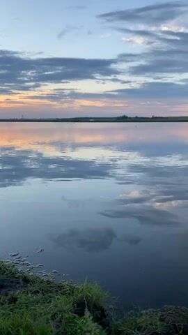 A serene body of water reflects the soft hues of a cloudy sky at dusk. The water's surface is calm, with only gentle ripples disturbing the perfect mirror image of the clouds. In the distance, the horizon is lined with a dark silhouette of trees and some faint structures. A few small birds appear to be on the water in the middle distance. The foreground is dominated by the dark water and a patch of green grass on the left bank. The overall atmosphere is tranquil and peaceful.
