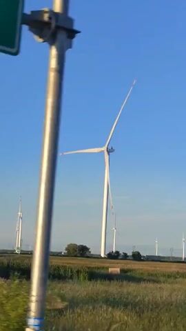 The video shows a clear blue sky with several wind turbines in the distance. The closest wind turbine is large and white with three blades, two of which are clearly visible. The blades are angled upward and slightly apart. The turbine is situated in a field of tall, green grass and what appears to be crops. In the background, other wind turbines of varying sizes are scattered across the landscape. Some power lines are also visible in the distance. The overall scene depicts a windy, rural environment.