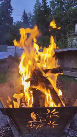 This is a close-up, low-angle shot of a campfire burning in a decorative metal fire pit. The fire is bright orange and yellow, with flames licking upwards. The logs in the fire pit are dark and charred. The fire pit itself is dark metal and has cut-out designs of palm leaves and birds. In the background, the sky is a dusky blue, and there are silhouettes of trees and a building. The overall atmosphere is calm and serene.