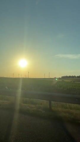 This is a vertical, medium-shot video filmed from a moving vehicle on a sunny day. The scene depicts a rural landscape with wind turbines visible in the distance against a bright sky. In the foreground, a metal guardrail runs horizontally across the bottom of the frame, obscuring the lower portion of the image. Beyond the guardrail, tall grass and what appears to be a field of crops are visible. The sun is low in the sky, casting a warm glow and creating lens flares that streak across the frame. The overall atmosphere is serene and captures the essence of a countryside drive during sunset or sunrise. There is no visible text in the video. The location is identified as Ohlweiler, Germany.