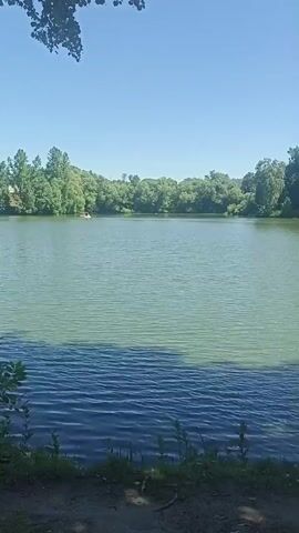The video shows a calm lake on a clear day, with lush green trees surrounding the water. The lake is divided into two distinct color zones: a darker blue in the foreground, gradually transitioning to a lighter green in the background. A small raft with people on it is visible in the distance, and a red buoy floats on the water. The foreground features a dirt path with grass and some foliage. The sky is a bright, cloudless blue.