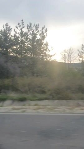 The video shows a scene taken from a moving vehicle traveling on a paved road. The camera is angled to the side, capturing the roadside scenery. The environment consists of trees, bushes, and a gentle slope leading to a distant mountain in the background. The sky is overcast, with the sun attempting to penetrate the clouds, casting a soft light over the landscape. There is minimal activity visible in the video.