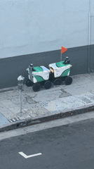 Delivery robots Russell and Sigrid spotted on LA sidewalk
