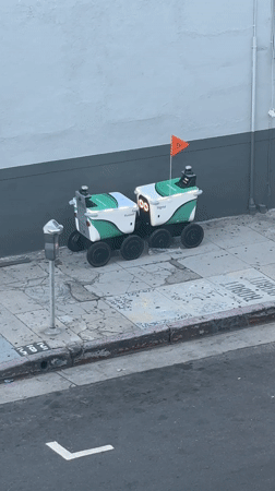 Delivery robots Russell and Sigrid spotted on LA sidewalk