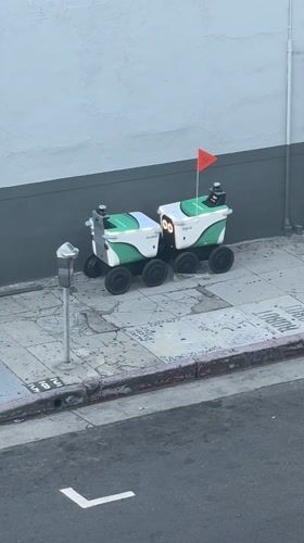 Delivery robots Russell and Sigrid spotted on LA sidewalk
