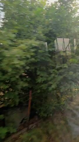 The video captures a blurred view of a natural landscape, likely from a moving vehicle. Trees and greenery dominate the scenery. The light suggests it may be early morning or late evening, with a warm glow visible in some frames. There are glimpses of fences and possibly some structures, hinting at a rural or suburban setting. The overall impression is one of movement and passing through a natural environment.