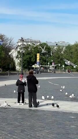 Two people, one with pink hair, are feeding seagulls in a public square. The person on the right is holding out their hand, presumably with food, and several seagulls are flying around them and landing on the ground. The ground is paved with cobblestones. In the background, there are trees, buildings, and a blue sky with some clouds. One of the buildings has a large banner on it. A flag with a white background and blue cross is visible on a flagpole to the left.