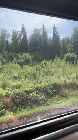 The video shows a view from a train window looking out at a lush green landscape with trees and bushes. The train tracks are visible in the foreground, and a utility pole with wires is seen in the background. The sky is cloudy, and the overall scene appears to be a sunny day. The camera is moving, giving the impression of travel.