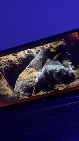 A laptop displays a video on its screen. The video shows a person in a dark setting, digging in the dirt with a shovel. The person is wearing dark clothing. The scene is lit by artificial lights, creating shadows. There are also subtitles visible on the screen that say "eerie music building".