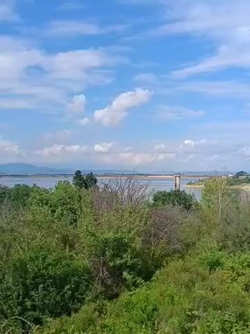 A panoramic video shows a wide expanse of water under a bright blue sky with scattered white clouds. In the foreground, dense green foliage and dry, bare branches partially obscure the view. In the distance, mountains form a hazy backdrop to the water. A tall, slender structure, possibly a tower or lighthouse, stands on the right side of the water's edge. The overall scene depicts a natural landscape with a hint of human presence.