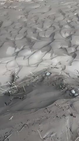 This video captures a close-up view of rippled sand, likely on a beach or riverbed. The sand shows a pattern of undulating waves, indicative of water flow or wind erosion. Scattered throughout the sand are small pebbles and dried plant debris, suggesting an outdoor, natural environment. The lighting suggests it is daytime, possibly overcast, as there are no strong shadows. The texture of the sand is wet and appears to be a light brown or grayish color. There is no discernible activity or event taking place, the focus being purely on the geological patterns in the sand. The location is identified as Chuy, Kyrgyzstan, which provides context for the environment, likely a river or lake shore in that region. No people or specific objects are clearly identifiable as subjects, with the sand's natural formations being the central focus. There is no visible text within the media.