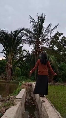 A person wearing a brown hijab and a long black skirt stands on a concrete structure. The person has their arms raised and hands bent at the wrists, performing a slow dance or gesture. They are facing away from the camera, towards a background of palm trees and lush greenery under a cloudy sky. A narrow concrete channel filled with water runs between the person and the foreground. To the left of the concrete structure, there is a body of water. The ground to the right is covered in grass. The scene appears to be outdoors in a tropical or subtropical environment.