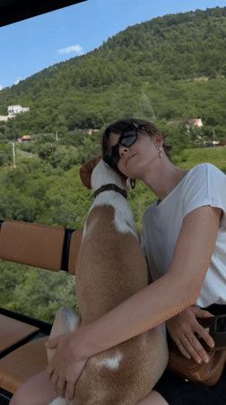 Dog rides a cable car up a Montenegro mountainside