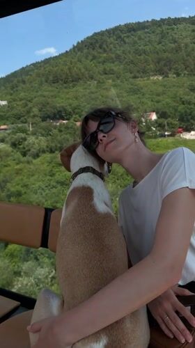 Dog rides a cable car up a Montenegro mountainside