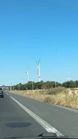 A vertical, wide shot captures a view from a vehicle traveling on a paved road under a clear blue sky. Several tall white wind turbines with red accents on their blades are visible in the distance, interspersed with lush green trees and dry yellow grass along the roadside. The turbines' blades are rotating. A car is partially visible on the left side of the road. A white lane marker is visible on the road. A metal pole with a light fixture stands beside the road. In the background, a bridge-like structure is visible. Small dark specks, possibly birds or insects, are scattered across the sky.