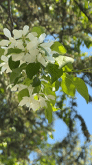 Spring morning scenes documented in Birobidzhan, Russia