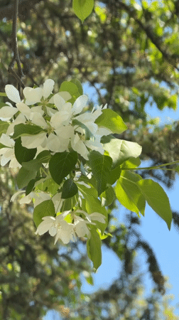 Spring morning scenes documented in Birobidzhan, Russia