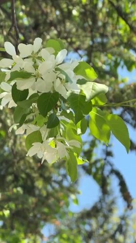 Spring morning scenes documented in Birobidzhan, Russia