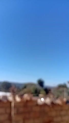 The video shows a static outdoor scene with a bright blue sky. In the foreground, there is a low brick wall. On top of the wall are several burlap sacks containing what appear to be plants or soil, some with dry branches sticking out. Behind the wall, there is a line of trees and vegetation, with hills or mountains in the distance. Power lines are visible across the sky in the middle ground. The scene is lit by sunlight, indicating it is daytime.