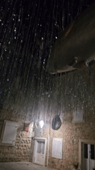 Nighttime urban scenes documented across nine minutes by witness