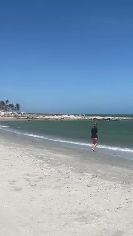 The video shows a beach scene on a sunny day. A woman wearing a black top and dark bottoms walks along the shoreline in the opening seconds. In the distance, there is a rock barrier visible. The camera pans to show the ocean with gentle waves. Several people are swimming in the water further out. There are also some dark objects in the sky, possibly birds or kites. The beach is sandy and sparsely populated. The sky is clear blue.