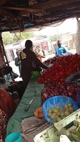 The video shows a market stall with a man selling vegetables. A large pile of red tomatoes sits on the right, along with onions and green fruits. A blue bucket holds more of the green fruits. The man wears a brown outfit and is sorting the vegetables into a green bowl. Other people are around the stall, some looking at their phones. The stall has a makeshift roof and is open to the street. There is a knife on the counter and a white crate filled with leafy greens on the right.