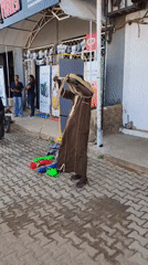 Urban street life documented during morning hours May 15