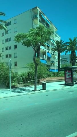 The video shows a view from inside a moving vehicle, looking out at a street scene. The camera pans from left to right. The scene is bathed in sunlight under a clear blue sky. On the left, there is a tall apartment building with multiple balconies. Palm trees and other greenery are visible, as well as a bus stop shelter with a bench and a trash can. Further down the street, another apartment building is visible, as well as a small white building with large windows and some people walking on the sidewalk. A white SUV drives across a crosswalk in the foreground. The street has blue and yellow markings.