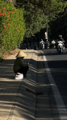 Quiet moments captured in Da Lat: street rest, pond fishing