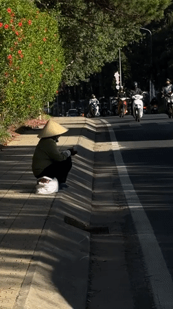 Quiet moments captured in Da Lat: street rest, pond fishing