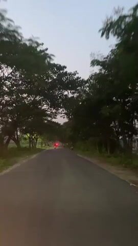 The video captures a first-person perspective from a vehicle moving along a tree-lined road in Nasirabad, Bangladesh, during twilight hours. Tall, leafy trees form a natural archway over the asphalt road. The sky is a soft, pale grey, indicating either dawn or dusk. Vehicle headlights cast light onto the road ahead, and red taillights of distant vehicles are visible. Several people can be seen in the distance, some walking and others on what appear to be motorbikes or scooters. A white car briefly passes on the right side of the frame towards the end of the video. The ambient light is low, highlighting the silhouette of the trees and the glow from vehicle lights. The sound of an engine is audible, along with a person speaking Bengali at the beginning of the clip.