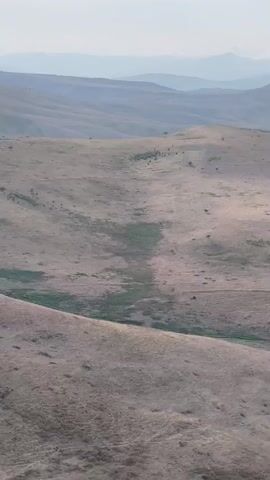 The video shows a drone flying over a vast, dry, hilly landscape. The terrain is covered in dry grass and scrub, with a winding dirt road cutting through the hills. In the distance, several layers of mountains are visible, fading into a hazy sky. There are no people or animals visible in the video. The drone's movement is smooth and steady, giving the impression of a serene and remote location. The overall mood of the video is peaceful and somewhat desolate.