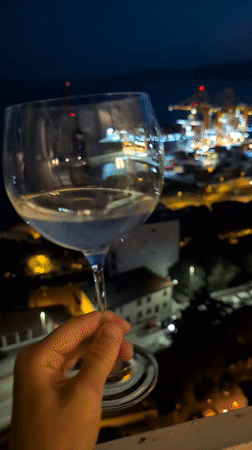 Wine glass raised against Rijeka's illuminated harbor at night