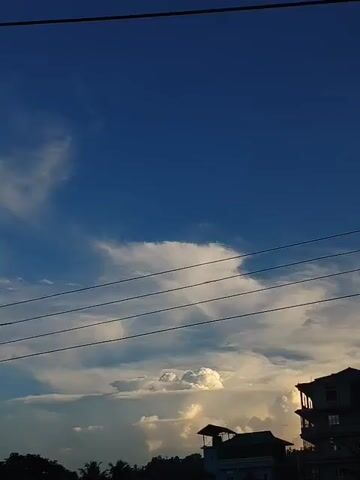 The video captures a wide shot of a bright blue sky with scattered white clouds. Multiple black power lines are visible horizontally across the frame. In the lower portion of the video, the silhouettes of trees and buildings are visible against the sky. Specifically, a few buildings with distinct roof structures are present, along with some dark foliage. The lighting suggests it is either sunrise or sunset, as the clouds are illuminated by a warm, golden light from below. There are no people or animals visible in the video, and no discernible actions or interactions are taking place. The environment appears to be an outdoor setting, likely urban or suburban, with electrical infrastructure and constructed buildings.