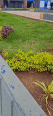 Tinaquillo's central plaza: statues, cathedral, murals, and gardens