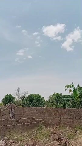 The video pans from left to right across a partially constructed, or possibly dilapidated, brick wall. To the left of the wall, there is an incomplete structure made of wooden poles and possibly corrugated metal, with a rough, unfinished appearance. Beyond this structure, there are various trees and vegetation, including what appear to be banana trees. The ground in front of the wall is covered with dry grass and debris. The sky above is partly cloudy with a bright, daytime light. The camera movement is smooth and steady, indicating a deliberate shot.